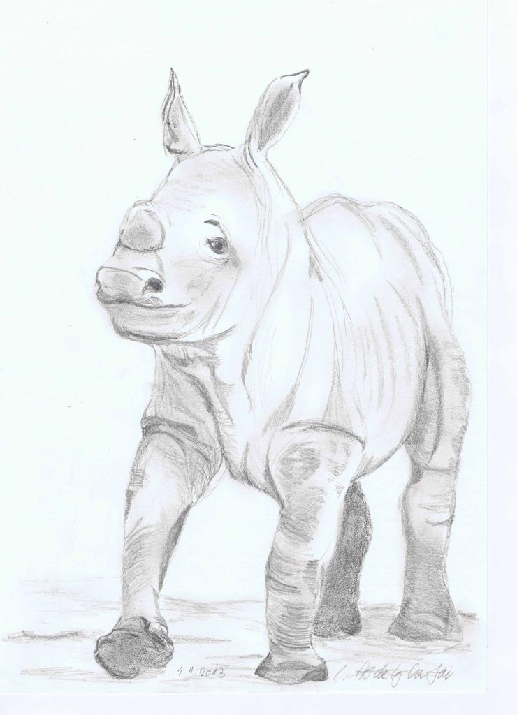Peinture Doux bébé rhinocéros