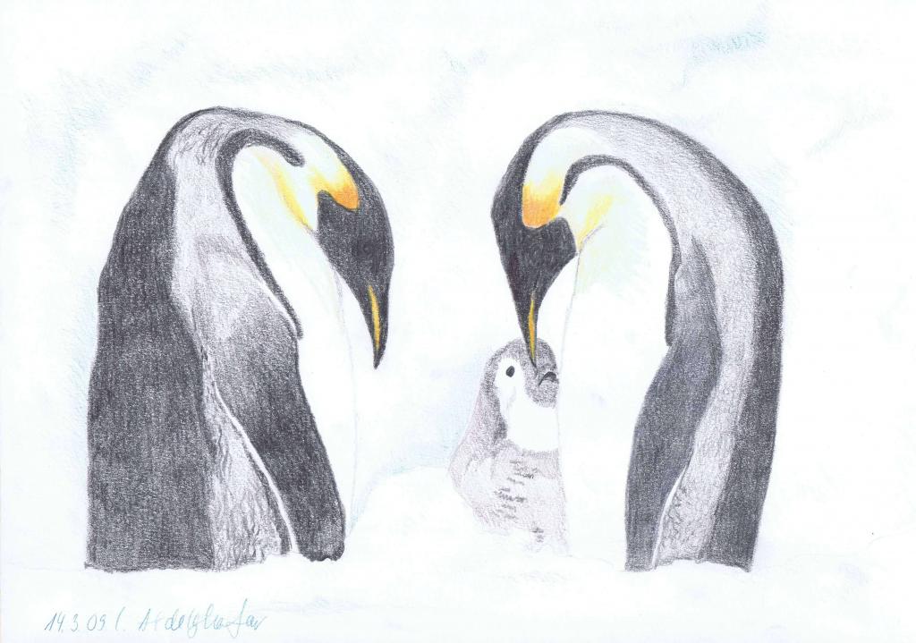 Peinture Famille de pingouins avec un bébé
