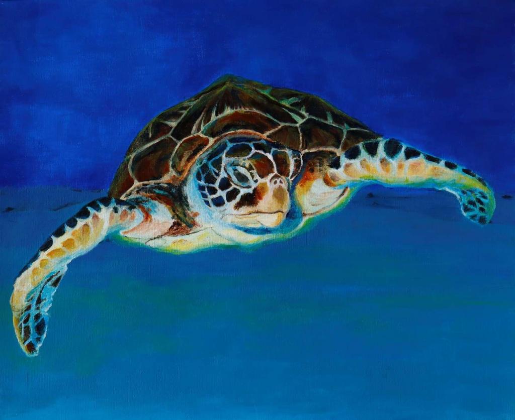 Peinture Hawksbill turtle