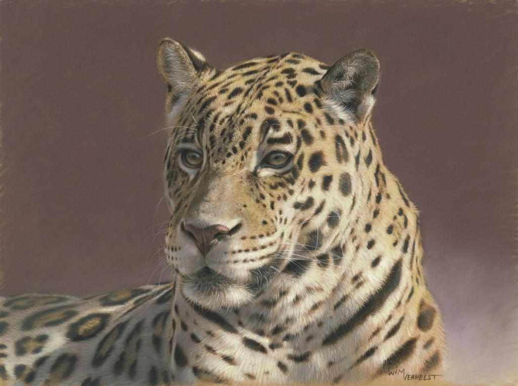 Carte virtuelle Jaguar portrait