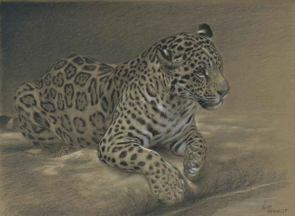 Peinture Jaguar