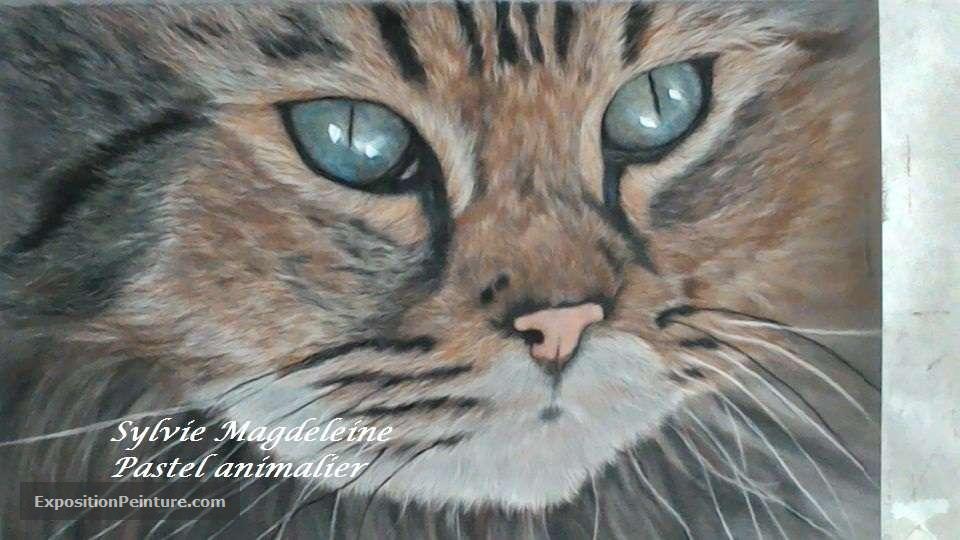 Peinture le regard du chat