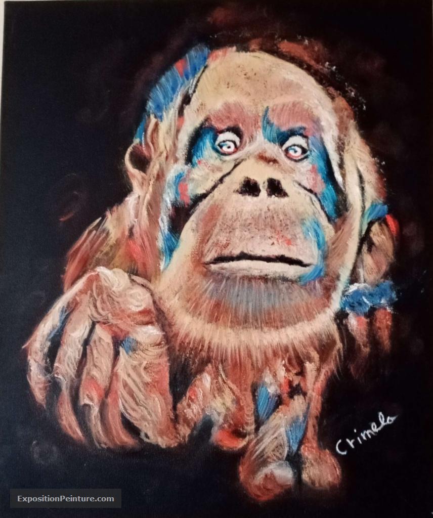 Peinture Monkey color