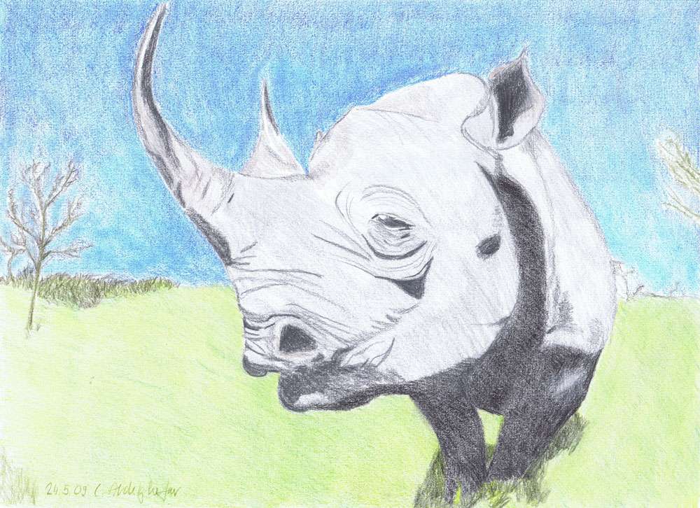 Peinture Rhinocéros