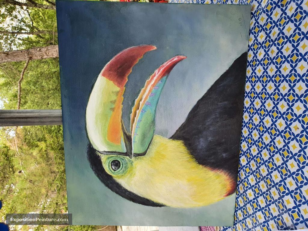 Peinture Toucan